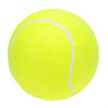 Elastic Tennis Balls